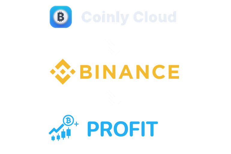 Coinly Cloud connection overview